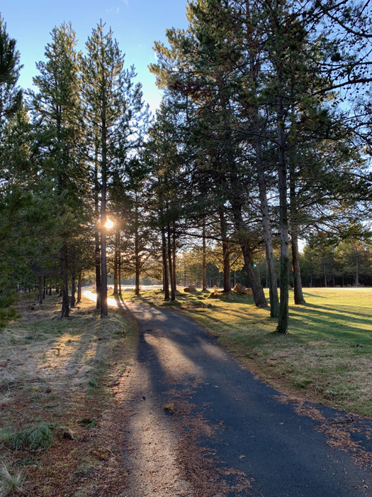 Gables at Red Cedar 29